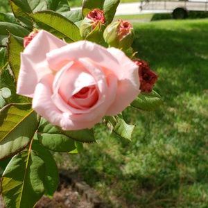 Meet your Posher, Shanna